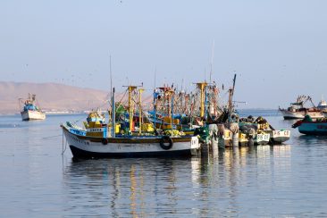 Port de Paracas