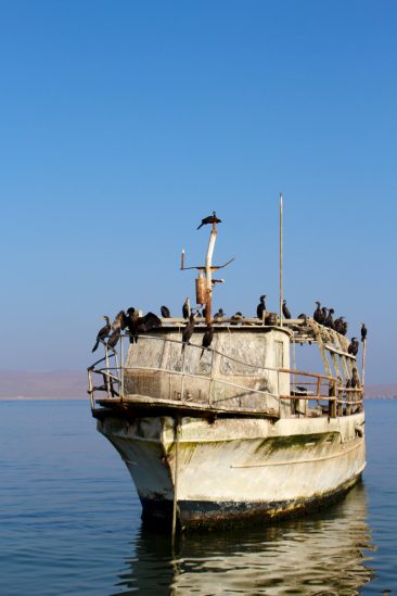 Excursion pour les iles Balestas - Le bateau aux cormorans