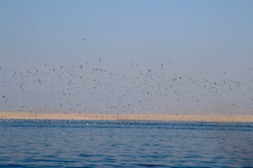 Excursion pour les iles Balestas - L'heure de la pêche