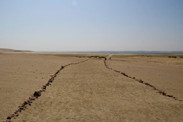 Réserve Nationale de Paracas