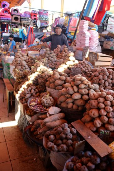 Le marché - Le pays de la pomme de terre