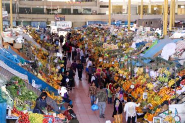 Le marché