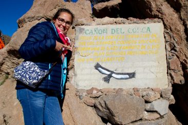 La cruz del condor