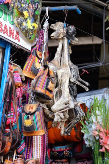 Marché: Fétus de lama