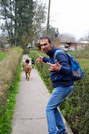 Escapade à Tigre - Julien et sa team de bad dogs