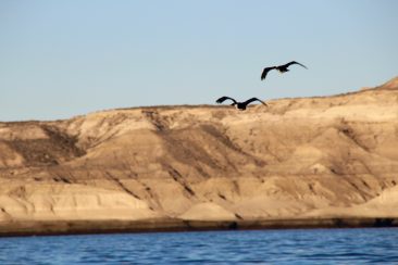 Excursion en bateau