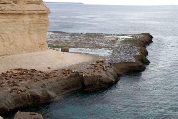 Excursion en bateau