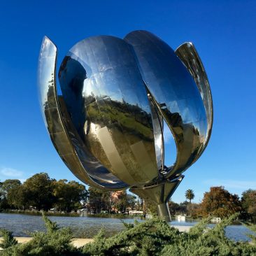 Recoleta - Floralis generica